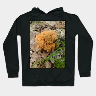 Coral Mushroom Hoodie